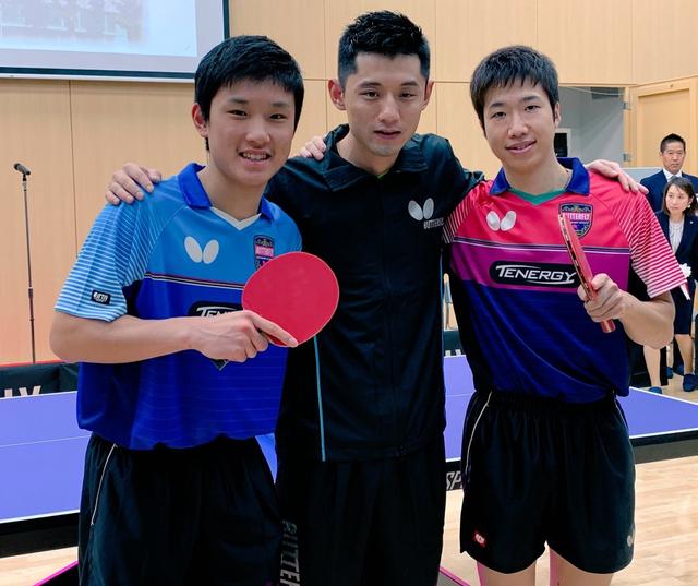 案例启示在 案例启示在